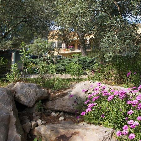 Chambre D'Hote Saint Remy Aramon Екстер'єр фото